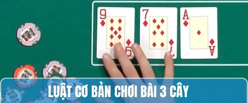 Chơi Bài 3 Cây - Tìm Hiểu Luật Cùng Quy Tắc Trên 78win 3 Tìm hiểu luật đánh cơ bản khi chơi bài 3 cây